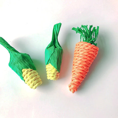Carrot-Themed Bird Chew Toy – 2 Fun Variants for Foraging & Beak Health
