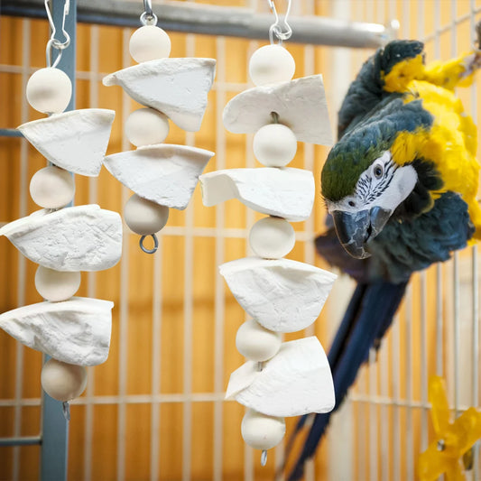 Natural Calcium Chew Toy for Birds
