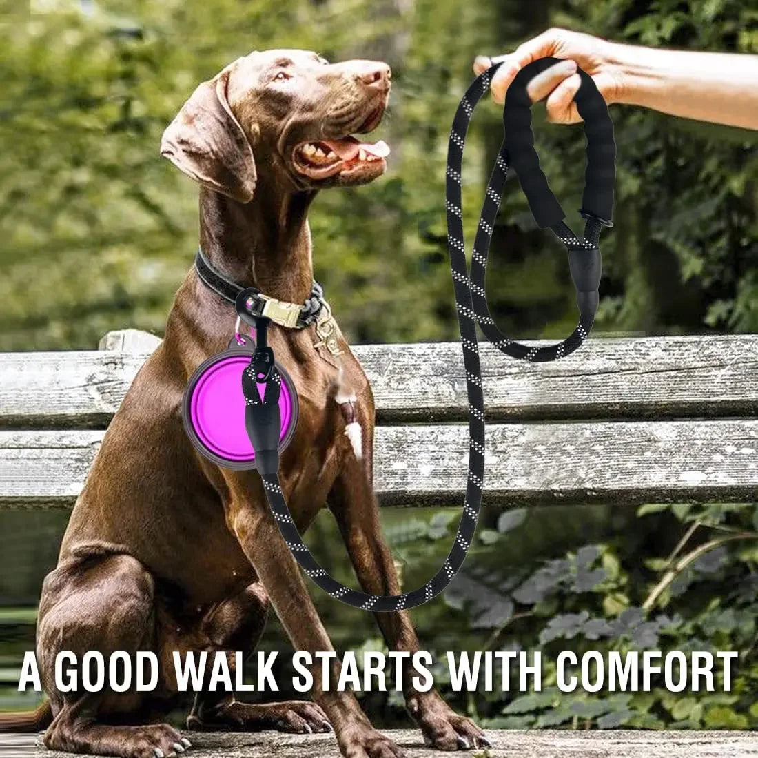 Heavy-Duty Reflective Dog Leash with Padded Handle