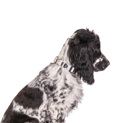 Hemp Dog Collar – Pebble Black