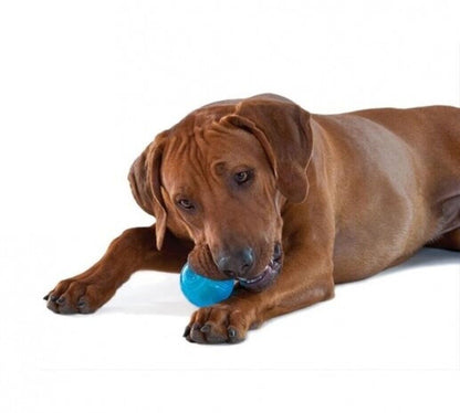 Orka Treat Ball