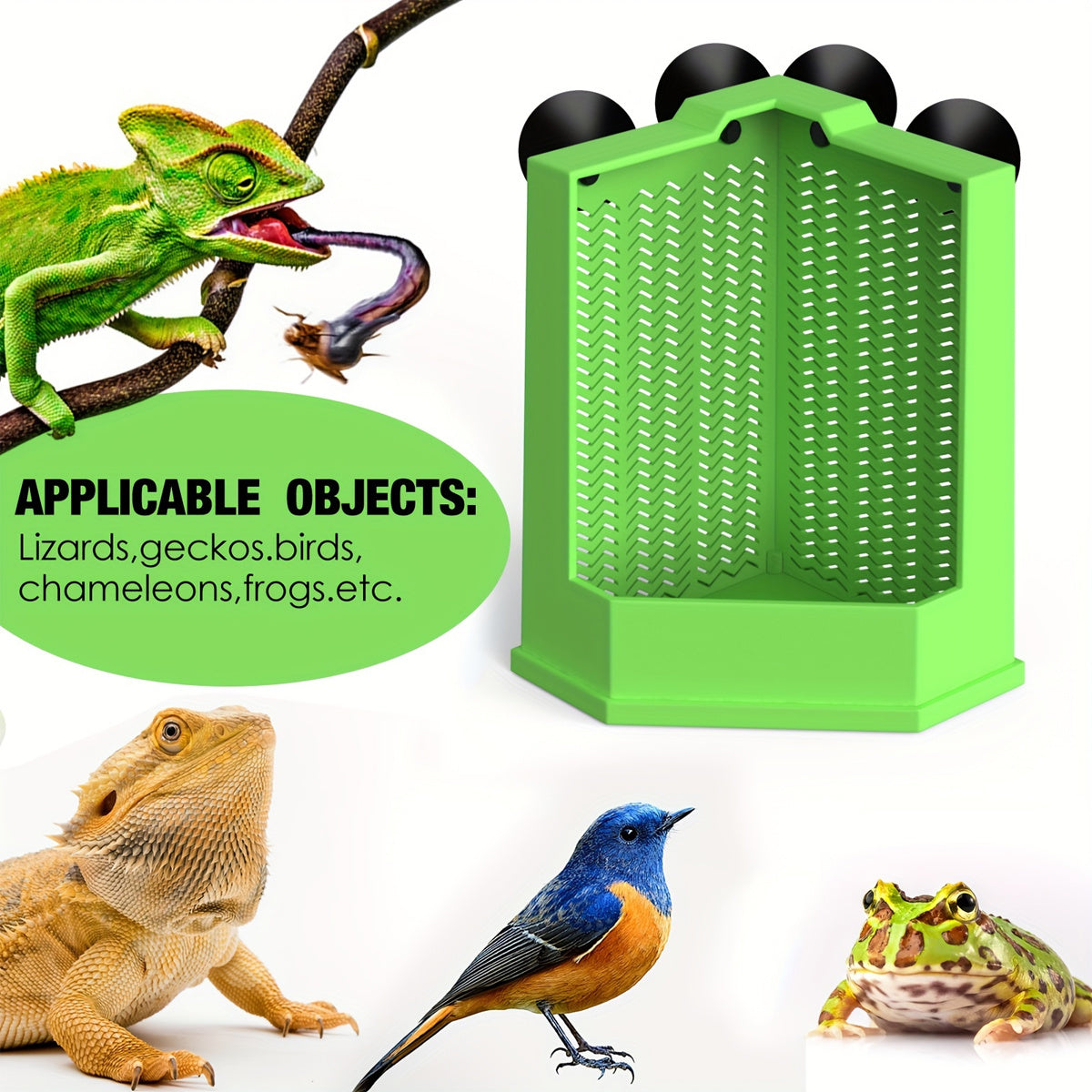 Green Reptile Feeding Station with Anti-Escape Design