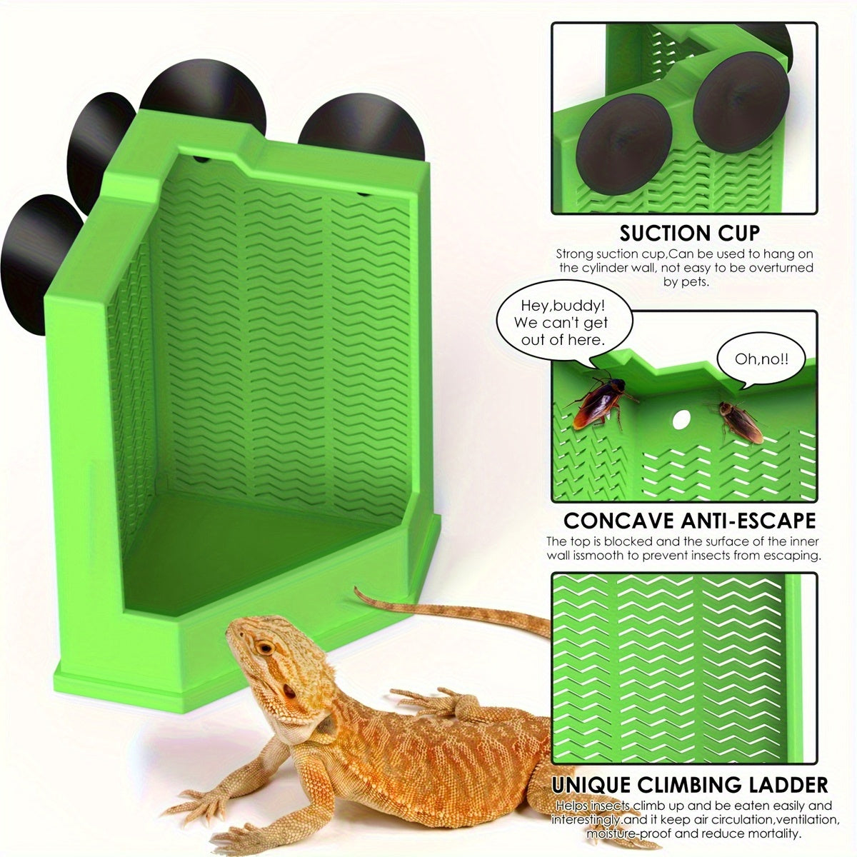 Green Reptile Feeding Station with Anti-Escape Design
