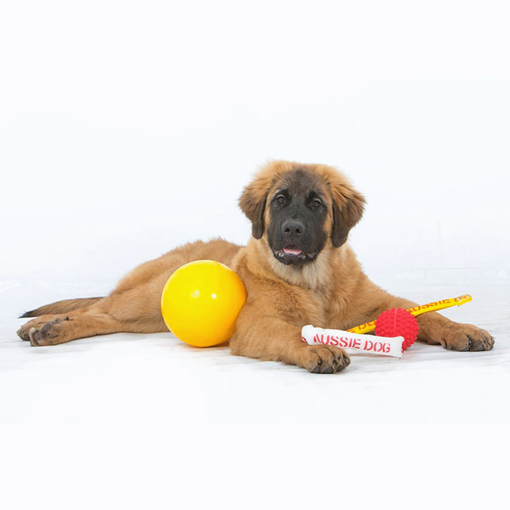 Aussie Dog Mini Snack Pack – Treat Dispensing Ball (Small Hole)