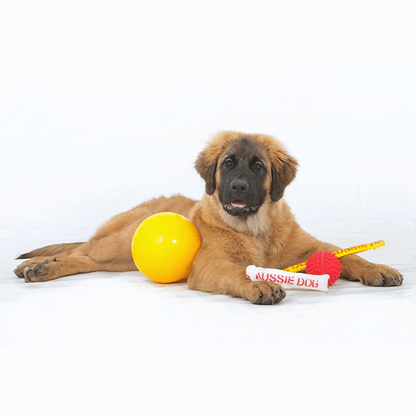 Aussie Dog Mini Snack Pack – Treat Dispensing Ball (Small Hole)