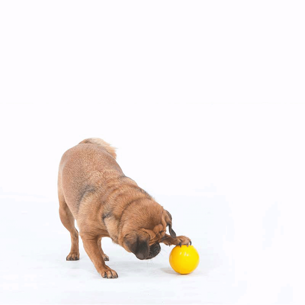 Aussie Dog Mini Snack Pack – Treat Dispensing Ball (Small Hole)