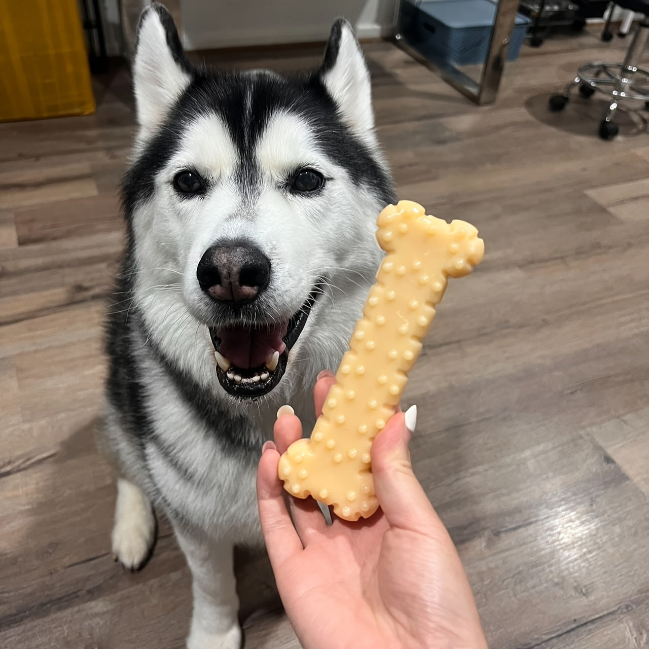 Peanut Butter Flavored Dog Chew Bone