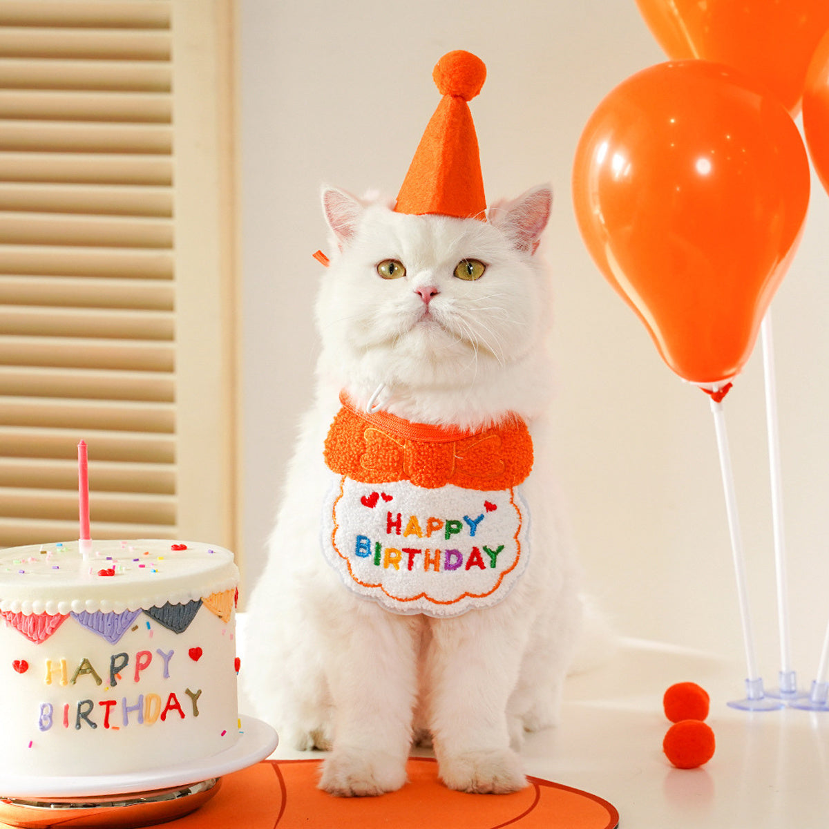 Cat Birthday Outfit – Party Hat & “Happy Birthday” Bib Set
