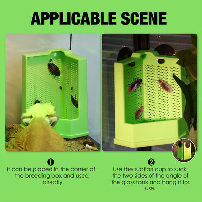 Green Reptile Feeding Station with Anti-Escape Design