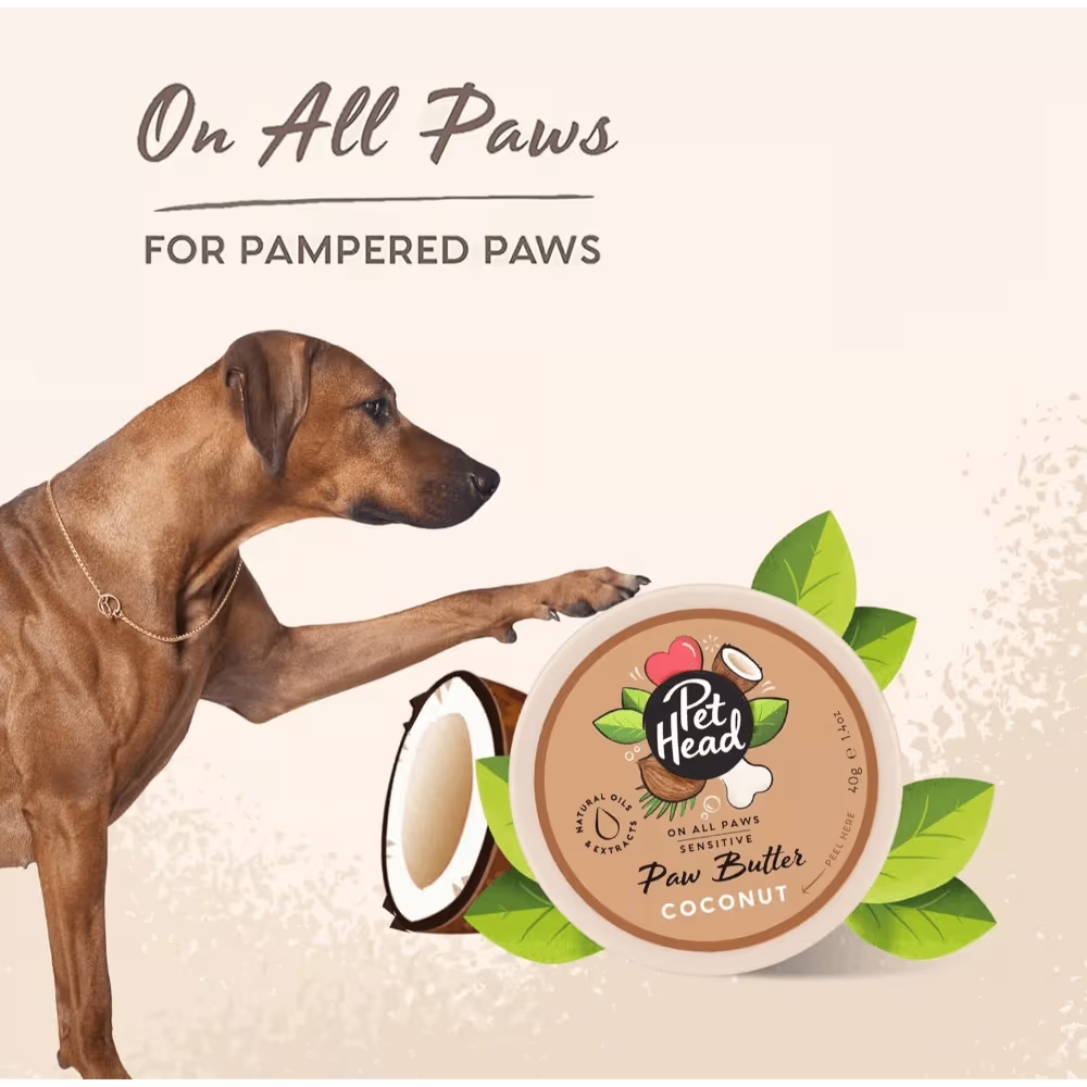 Pet Head Coconut Paw Butter