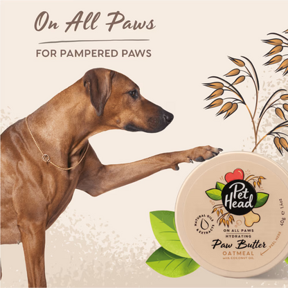 Pet Head Oatmeal Paw Butter