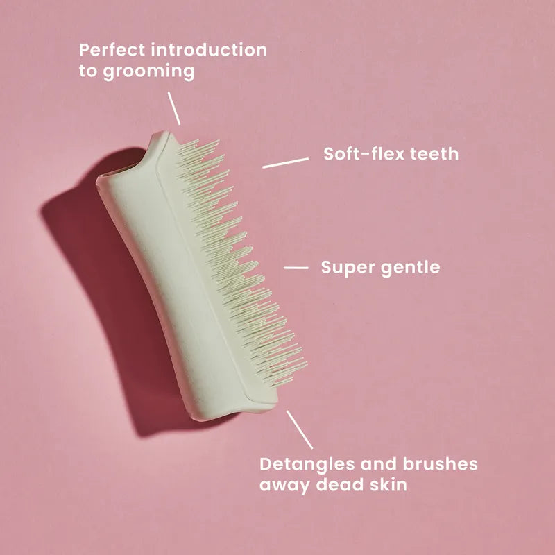 Pet Teezer Puppy Brush
