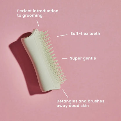 Pet Teezer Puppy Brush